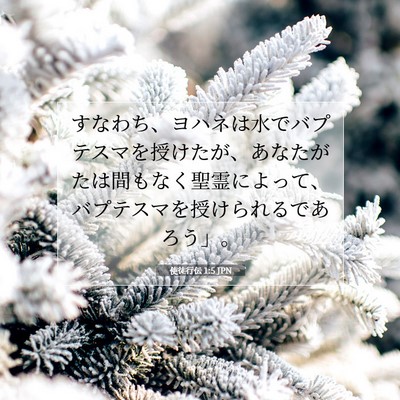 使徒行伝 1:5 聖書の一節の解説