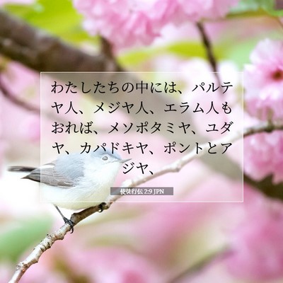 使徒行伝 2:9 聖書の一節の解説