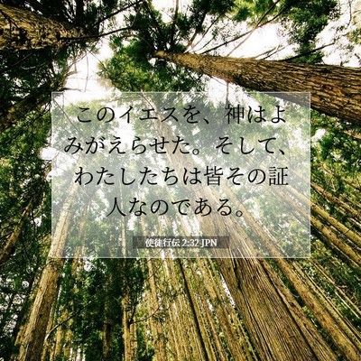 使徒行伝 2:32 聖書の一節の解説