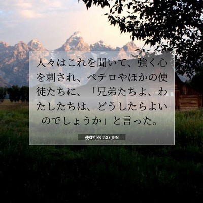 使徒行伝 2:37 聖書の一節の解説