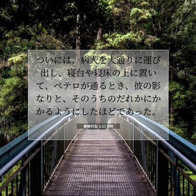 使徒行伝 5:15 聖書の一節の解説