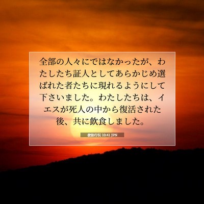 使徒行伝 10:41 JPN 聖書の一節の画像