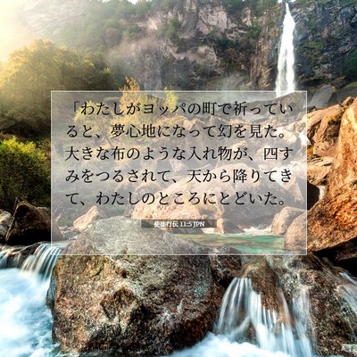 使徒行伝 11:5 聖書の一節の解説