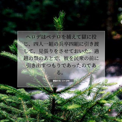 使徒行伝 12:4 JPN 聖書の一節の画像