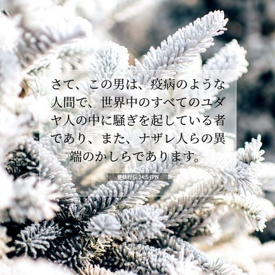 使徒行伝 24:5 JPN 聖書の一節の画像