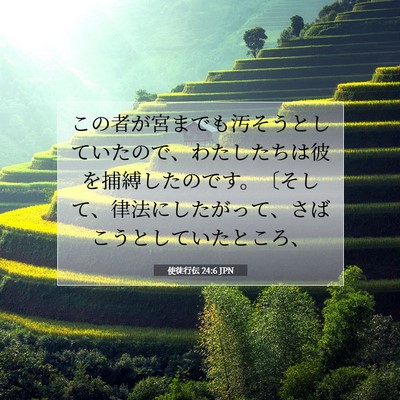 使徒行伝 24:6 JPN 聖書の一節の画像