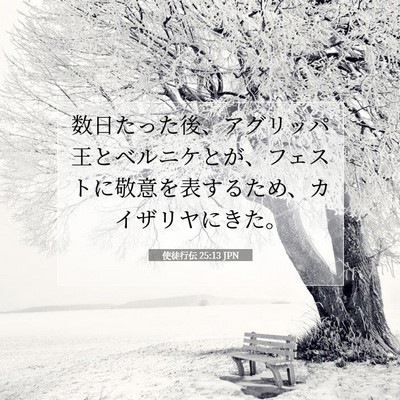 使徒行伝 25:13 JPN 聖書の一節の画像
