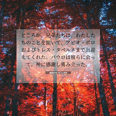 使徒行伝 28:15 聖書の一節の解説