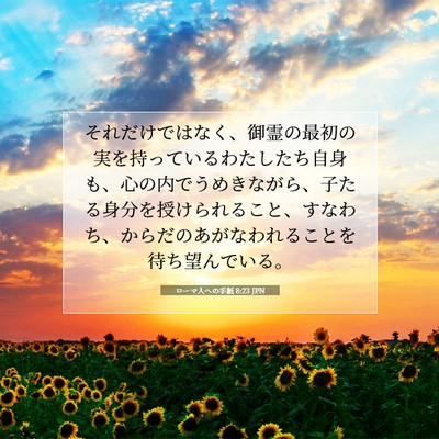 ローマ人への手紙 8:23 聖書の一節の解説