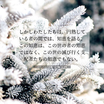 コリント人への第一の手紙 2:6 JPN 聖書の一節の画像
