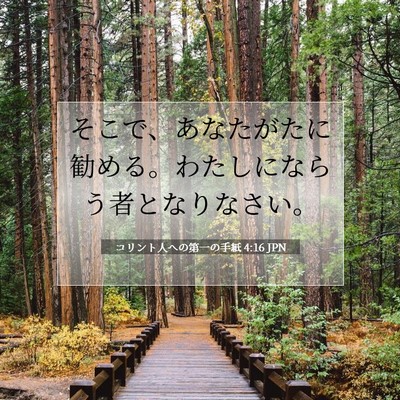 コリント人への第一の手紙 4:16 聖書の一節の解説