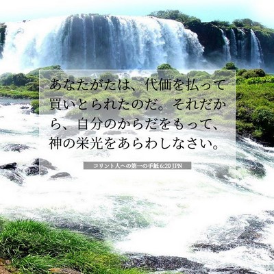 コリント人への第一の手紙 6:20 聖書の一節の解説
