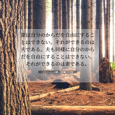 コリント人への第一の手紙 7:4 聖書の一節の解説