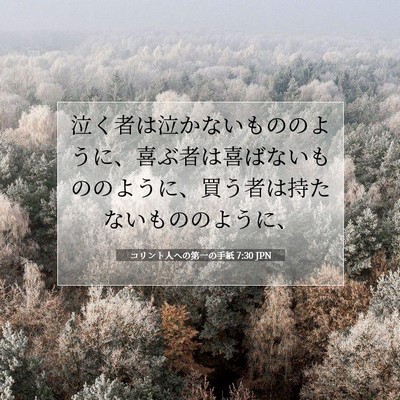 コリント人への第一の手紙 7:30 聖書の一節の解説
