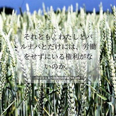 コリント人への第一の手紙 9:6 聖書の一節の解説