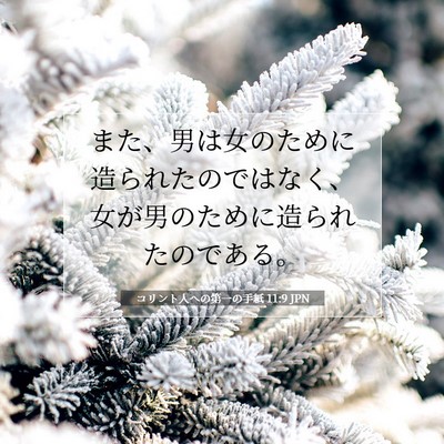 コリント人への第一の手紙 11:9 聖書の一節の解説