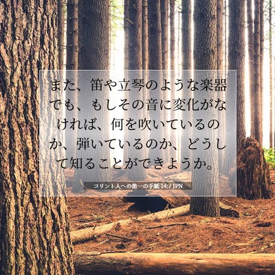 コリント人への第一の手紙 14:7 聖書の一節の解説