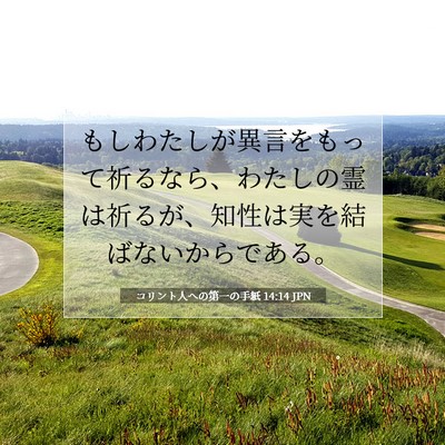 コリント人への第一の手紙 14:14 聖書の一節の解説