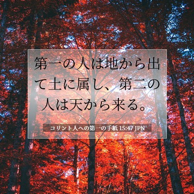コリント人への第一の手紙 15:47 JPN 聖書の一節の画像