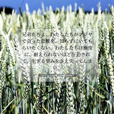 コリント人への第二の手紙 1:8 聖書の一節の解説
