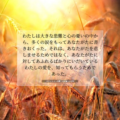 コリント人への第二の手紙 2:4 聖書の一節の解説