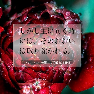 コリント人への第二の手紙 3:16 聖書の一節の解説