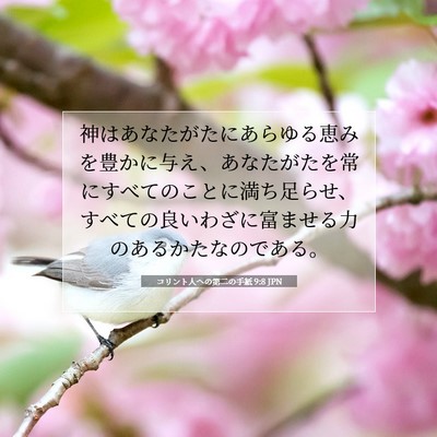 コリント人への第二の手紙 9:8 聖書の一節の解説