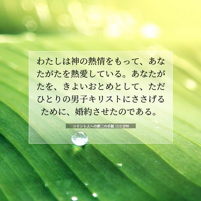 コリント人への第二の手紙 11:2 聖書の一節の解説
