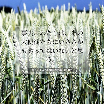 コリント人への第二の手紙 11:5 聖書の一節の解説
