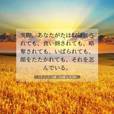 コリント人への第二の手紙 11:20 聖書の一節の解説