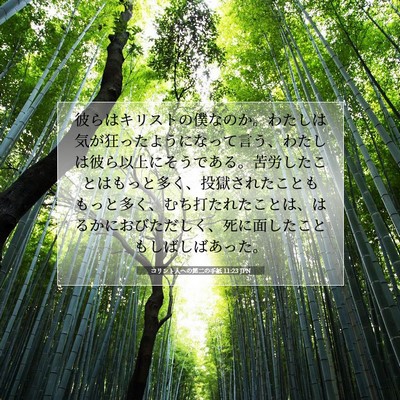 コリント人への第二の手紙 11:23 聖書の一節の解説