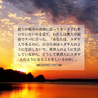 ガラテヤ人への手紙 2:14 JPN 聖書の一節の画像