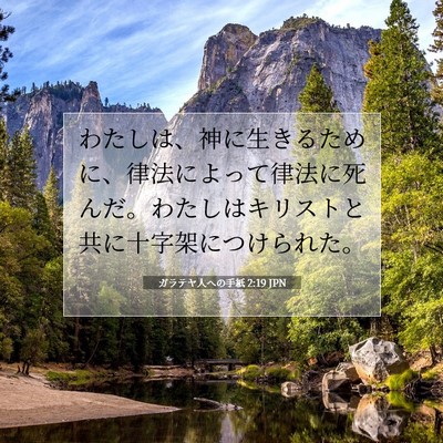 ガラテヤ人への手紙 2:19 聖書の一節の解説