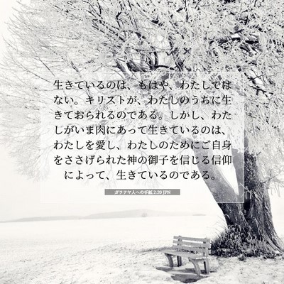 ガラテヤ人への手紙 2:20 JPN 聖書の一節の画像