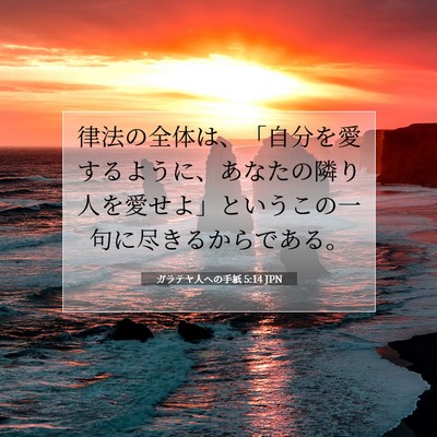 ガラテヤ人への手紙 5:14 聖書の一節の解説