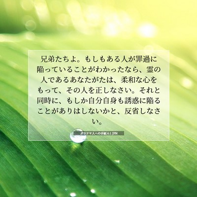 ガラテヤ人への手紙 6:1 JPN 聖書の一節の画像