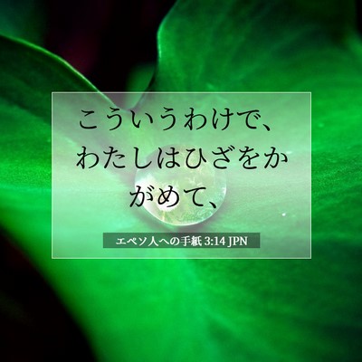 エペソ人への手紙 3:14 JPN 聖書の一節の画像