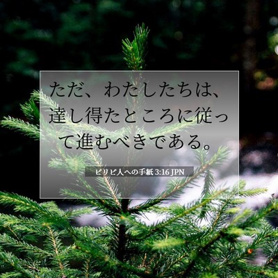 ピリピ人への手紙 3:16 聖書の一節の解説