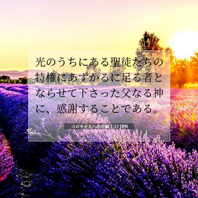 コロサイ人への手紙 1:12 JPN 聖書の一節の画像