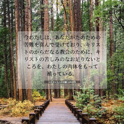 コロサイ人への手紙 1:24 JPN 聖書の一節の画像