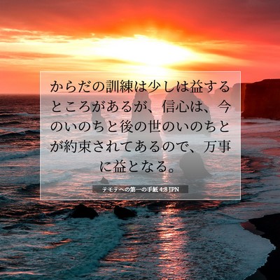 テモテヘの第一の手紙 4:8 聖書の一節の解説