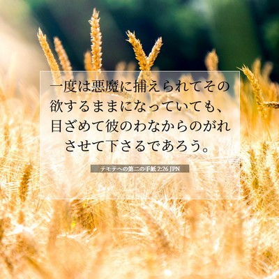 テモテヘの第二の手紙 2:26 聖書の一節の解説