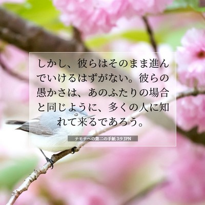 テモテヘの第二の手紙 3:9 聖書の一節の解説