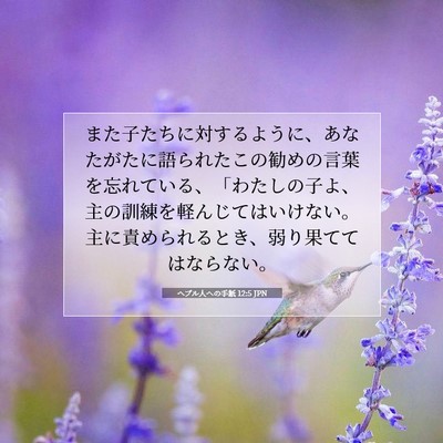 ヘブル人への手紙 12:5 JPN 聖書の一節の画像