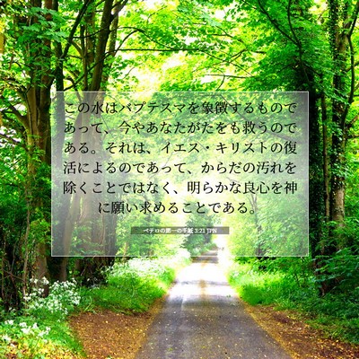 ペテロの第一の手紙 3:21 JPN 聖書の一節の画像