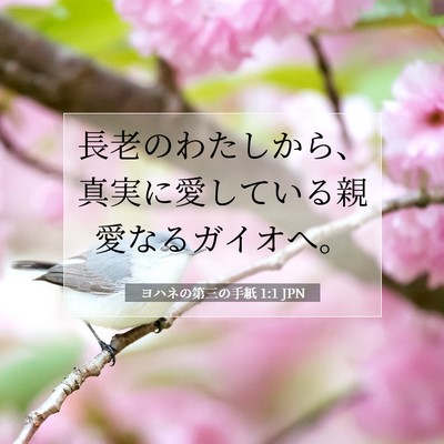 ヨハネの第三の手紙 1:1 聖書の一節の解説